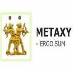 METAXY.HU Profile Picture