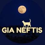 Gia Netfis profile picture