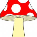 Csi Szem Profile Picture