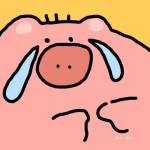ccc ccc Profile Picture