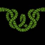 winding ropes Profile Picture