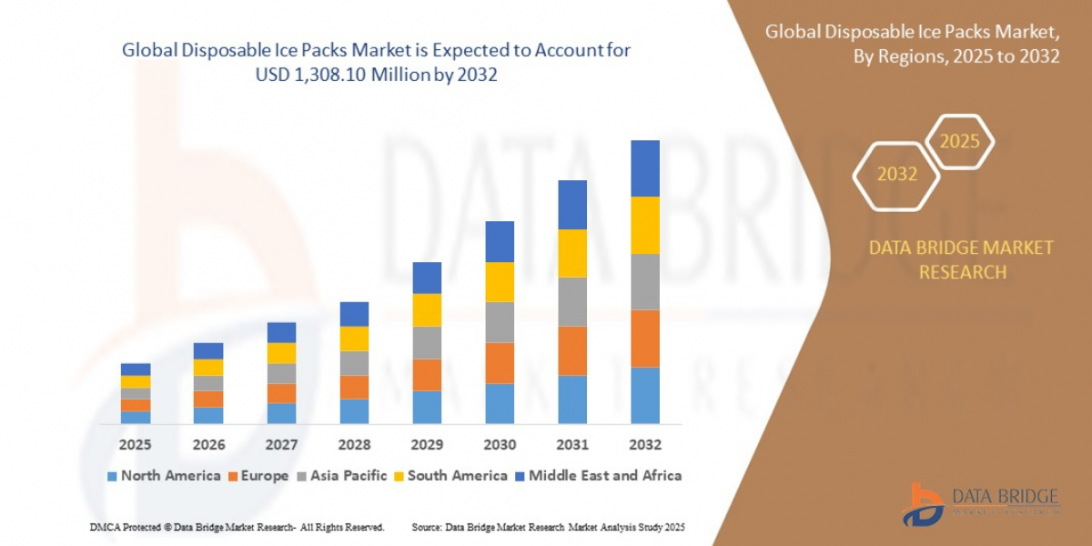 Disposable Ice Packs MarketForecast : Size, Share, Trends, and Competitive Analysis