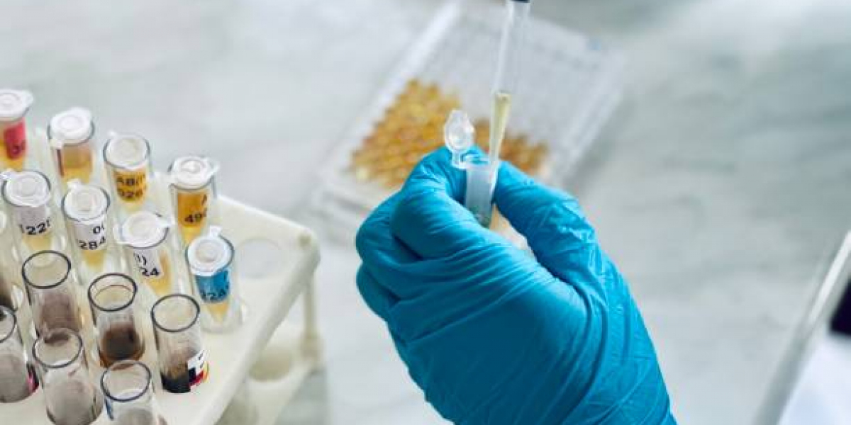 Specialty Enzymes Market Insights: Growth Trends, Applications & Future Outlook