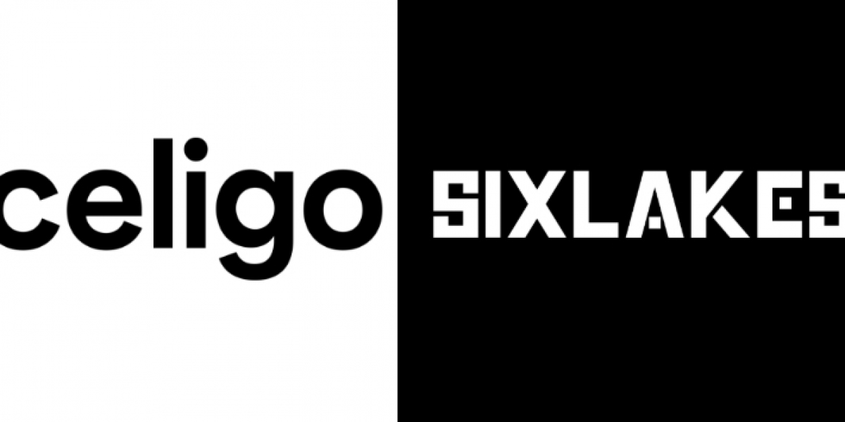 ShipStation Celigo Integration Services | SixLakes Consulting
