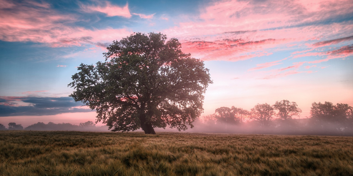 Telaga88: Best Games to Play for Fast Wins