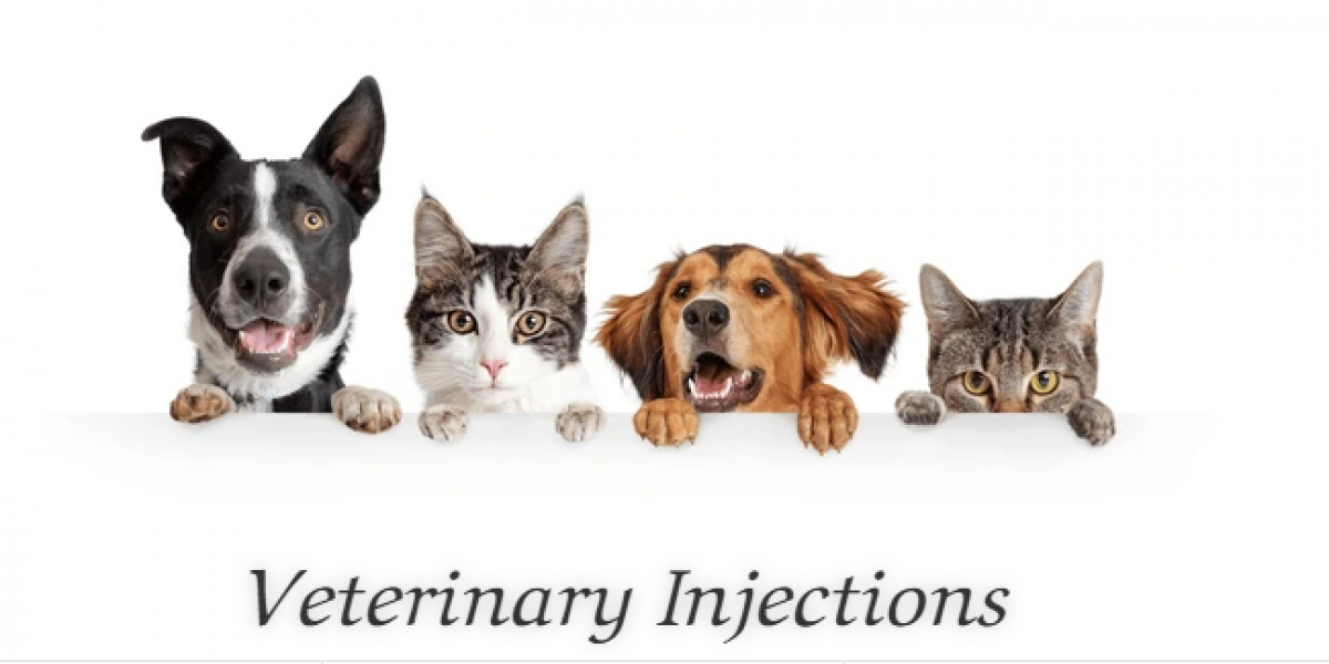 Veterinary Medicine Exporter India