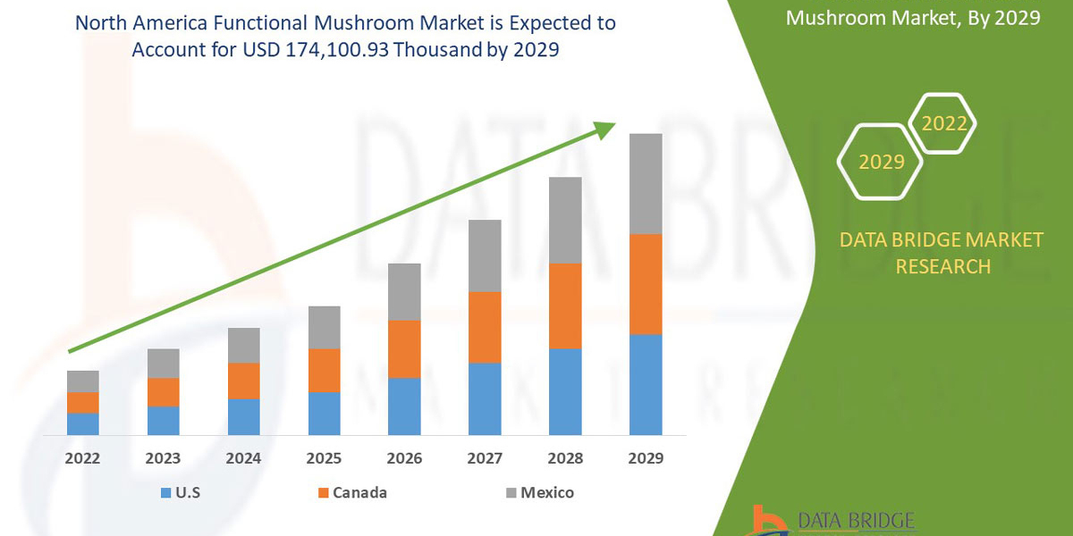 North America Functional Mushroom Market Wellness Product Growth Forecast