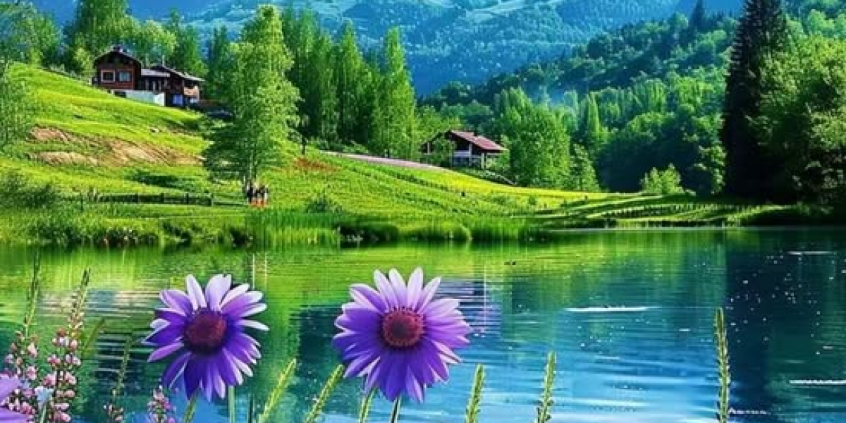 Recreation Preview: Pittsburgh Penguins @ Anaheim Ducks 2/10/2023 - Traces, how toward keep track of