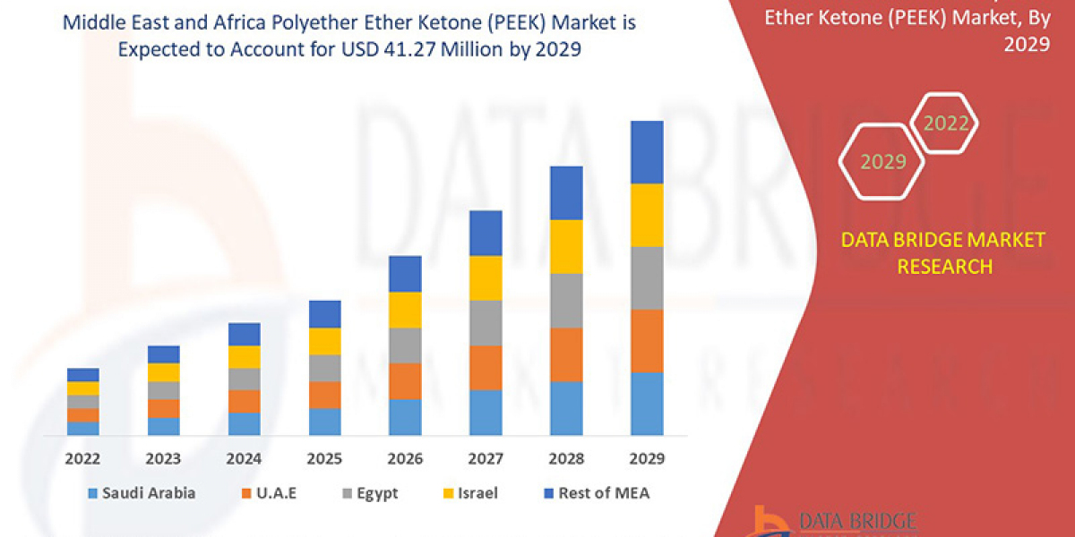 Why the Middle East and Africa PEEK Market Is Emerging as a High-Value Opportunity