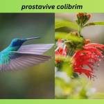 Business Walk profile picture