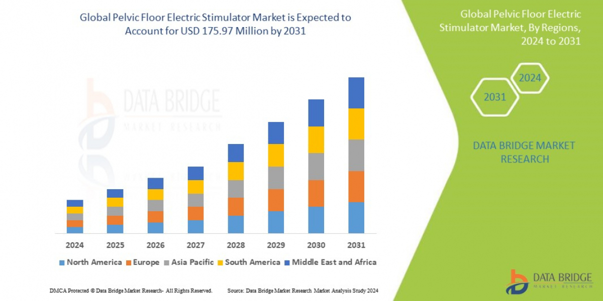 Pelvic Floor Electric Stimulator Market Strategic Analysis: Size, Growth, and Segment Trends