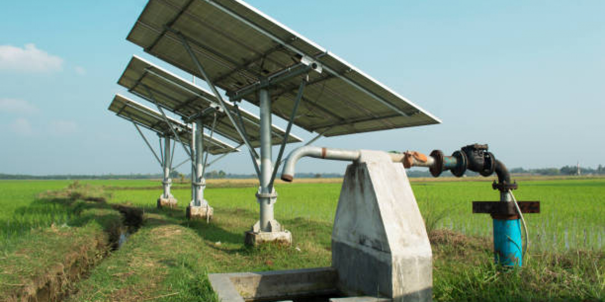 Solar Pumps Market Growth: Renewable Energy, Agricultural Efficiency & Technological Trends