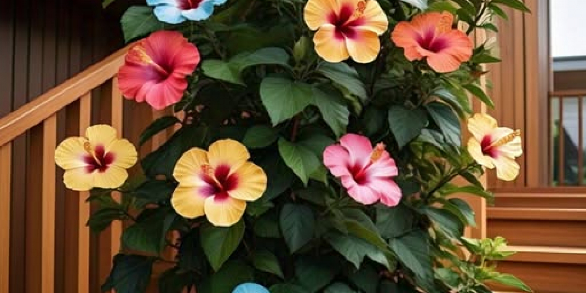 Maple Leafs Signal 4 Avid gamers