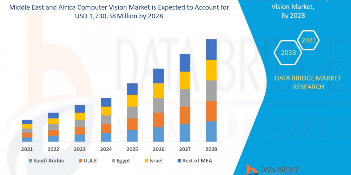 Why the Middle East and Africa Computer Vision Market Is Growing at a Rapid Pace