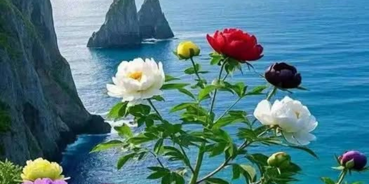 Capitals In the direction of Host 2024-25 House Opener Offered via GEICO October. 12 vs. Fresh Jersey Devils at Funds A 