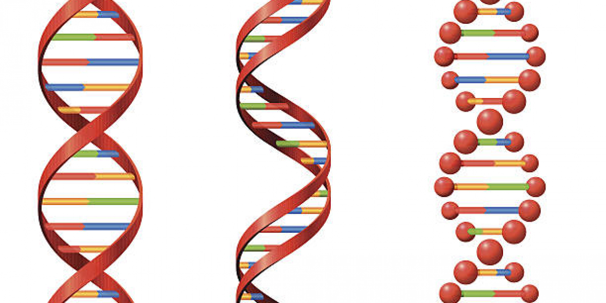 Gene Vector Market Insights: Trends, Innovations & Emerging Opportunities