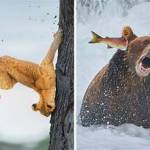 alvin kelvin Profile Picture